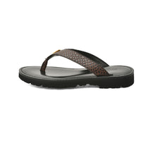 Slipper LionCrest
