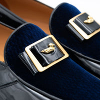 Cape Coast moccasin
