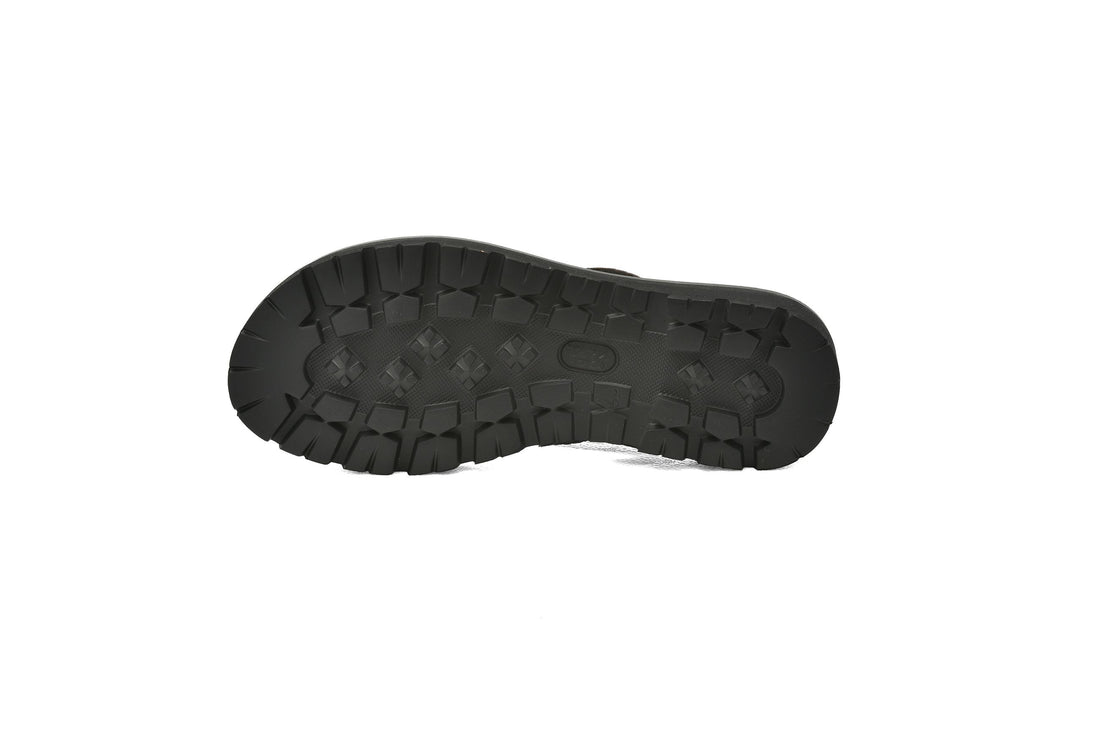Slipper LionCrest