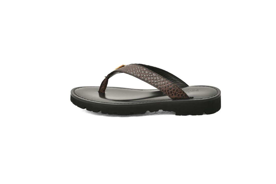 Slipper LionCrest